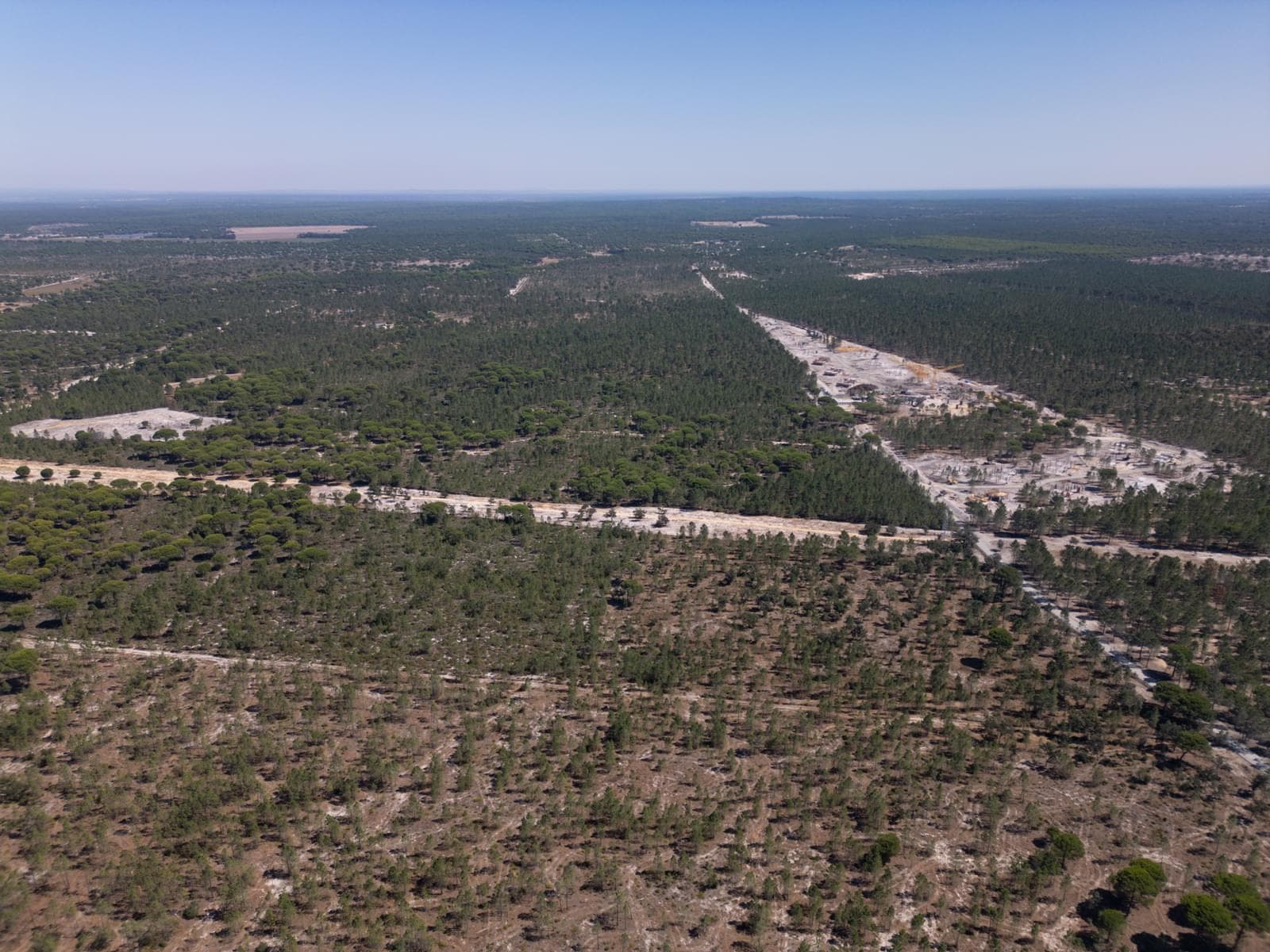 Terreno 9.4 ha, Muda, Grandola - Imagem 14