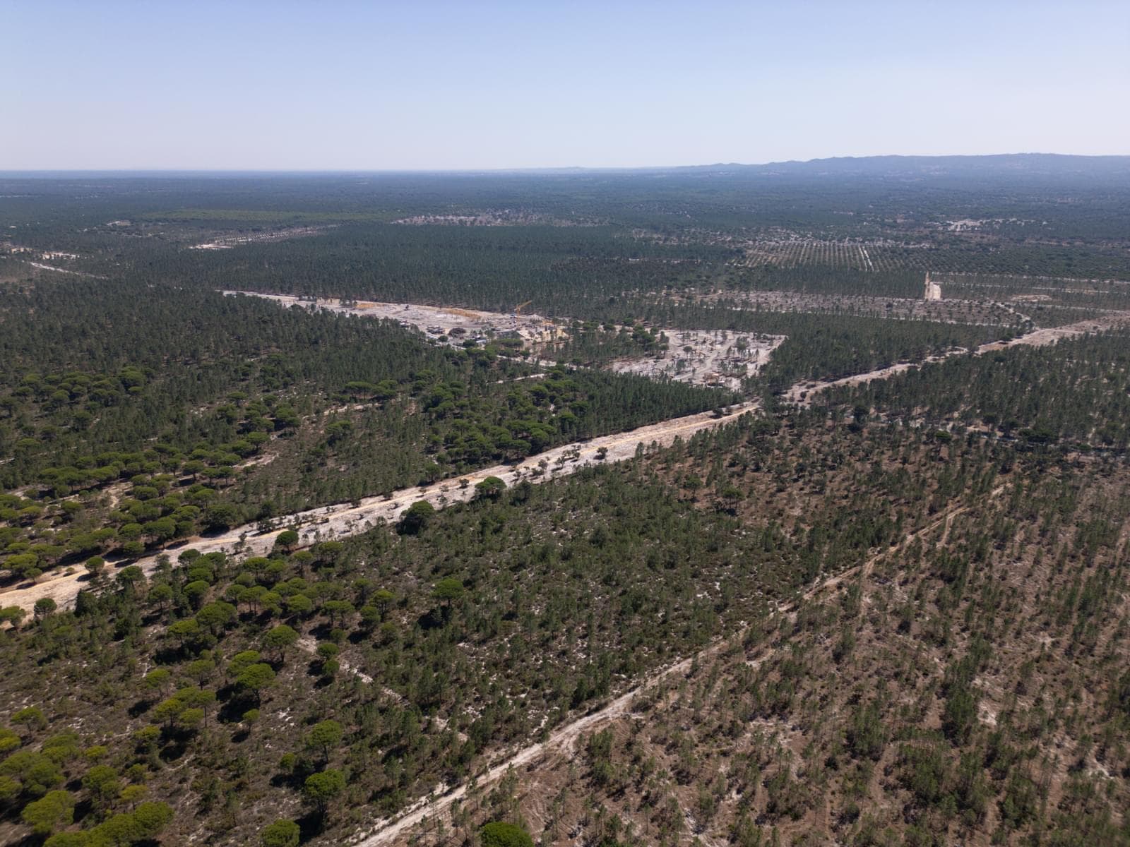 Terreno 9.4 ha, Muda, Grandola - Imagem 11