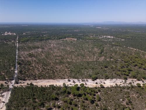 PF37192 - Terreno 9.4 ha, Muda, Grandola - Imagem 5