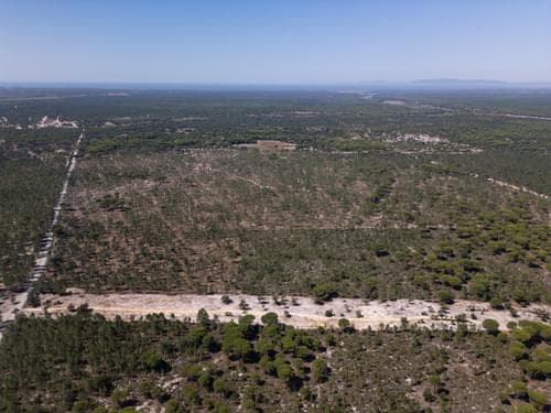PF37192 - Terreno 9.4 ha, Muda, Grandola - Imagem 7