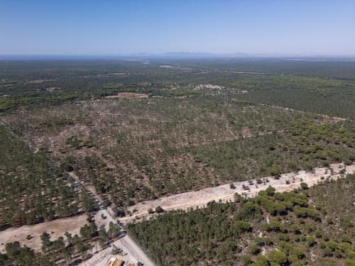 PF37192 - Terreno 9.4 ha, Muda, Grandola - Imagem 9