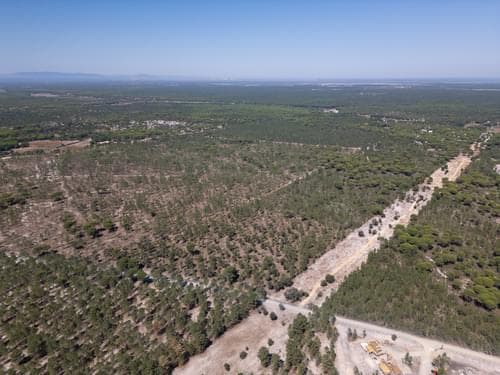 PF37192 - Terreno 9.4 ha, Muda, Grandola - Imagem 13