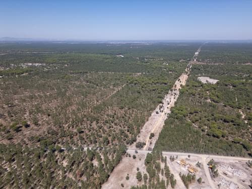PF37192 - Terreno 9.4 ha, Muda, Grandola - Imagem 17