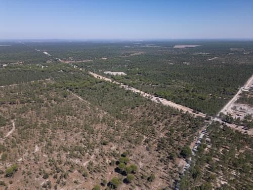 PF37192 - Terreno 9.4 ha, Muda, Grandola - Imagem 23