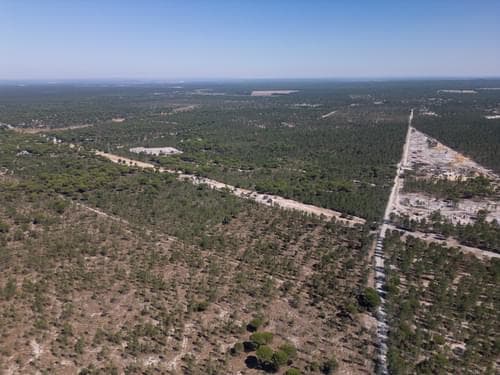 PF37192 - Terreno 9.4 ha, Muda, Grandola - Imagem 24
