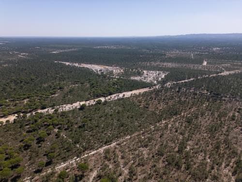 PF37192 - Terreno 9.4 ha, Muda, Grandola - Imagem 4