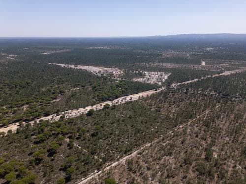 PF37192 - Terreno 9.4 ha, Muda, Grandola - Imagem 11