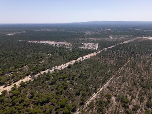 PF37192 - Terreno 9.4 ha, Muda, Grandola - Imagem 20