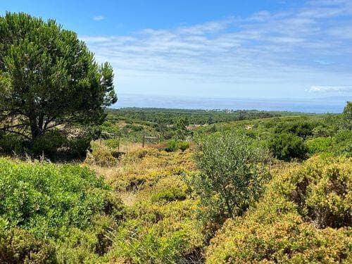 PF37193 - Terreno Misto 1.6 ha, Sesimbra - Imagem 4