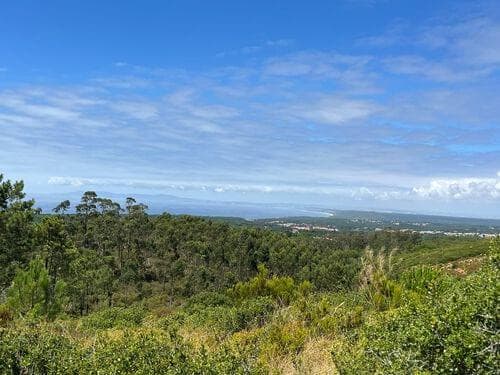 PF37193 - Terreno Misto 1.6 ha, Sesimbra - Imagem 3
