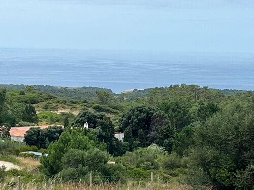 PF37193 - Terreno Misto 1.6 ha, Sesimbra - Imagem 5