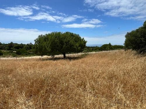 PF37193 - Terreno Misto 1.6 ha, Sesimbra - Imagem 9