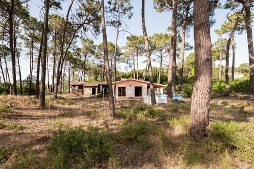 PF37333 - Terreno 2800 m2, Aroeira, Almada - Imagem 2