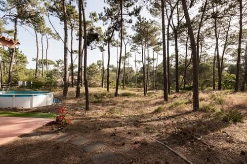 PF37333 - Terreno 2800 m2, Aroeira, Almada - Imagem 11
