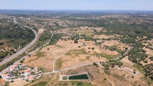 PF37371 - Ferme 18.0 ha, São Francisco da Serra, Santiago do Cacem - Image 13