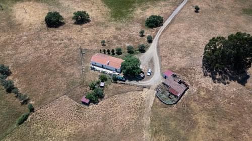 PF37371 - Ferme 18.0 ha, São Francisco da Serra, Santiago do Cacem - Image 4