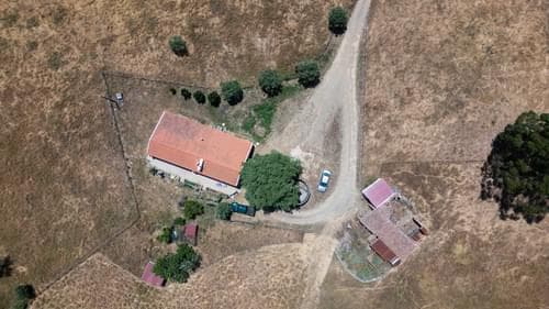 PF37371 - Ferme 18.0 ha, São Francisco da Serra, Santiago do Cacem - Image 3