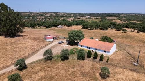 PF37371 - Ferme 18.0 ha, São Francisco da Serra, Santiago do Cacem - Image 2