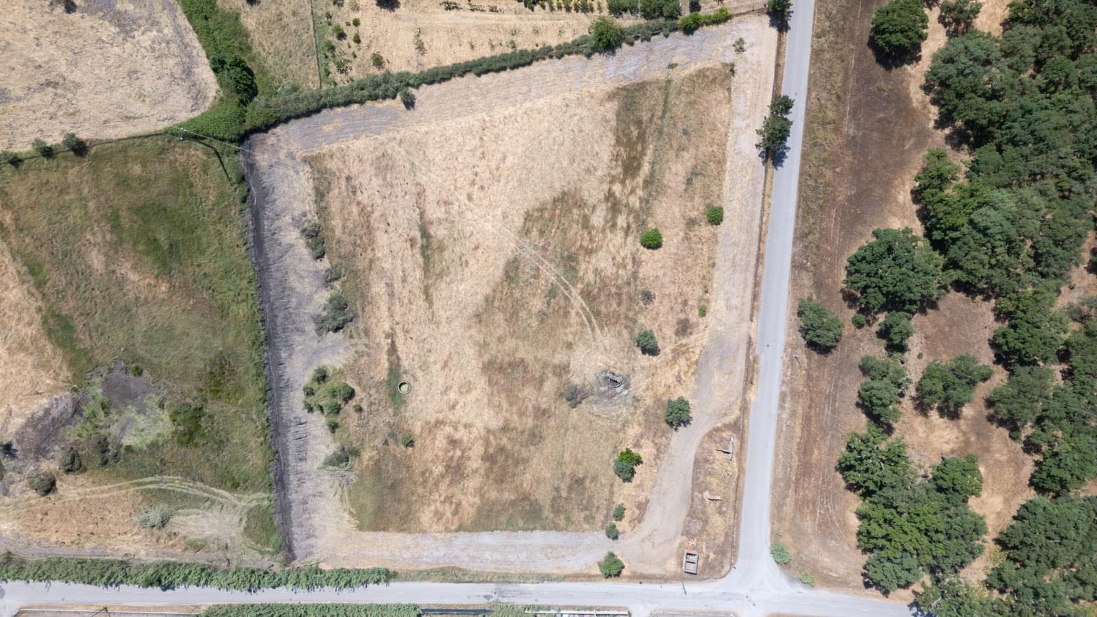 Terreno Misto 2.5 ha, Grandola - Imagem 6