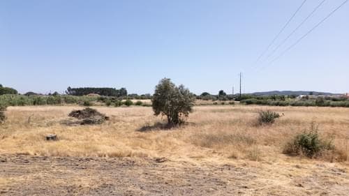 PF37376 - Terreno Misto 2.5 ha, Grandola - Imagem 25