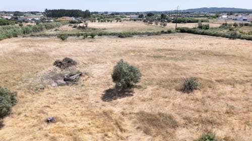 PF37376 - Terreno Misto 2.5 ha, Grandola - Imagem 24