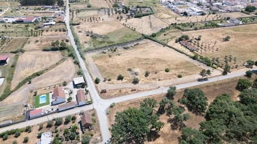 PF37376 - Terreno Misto 2.5 ha, Grandola - Imagem 23