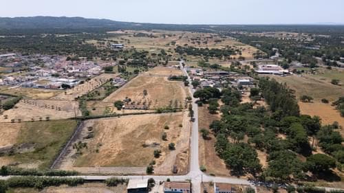PF37376 - Terreno Misto 2.5 ha, Grandola - Imagem 4