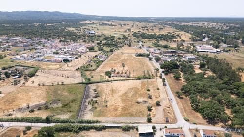 PF37376 - Terreno Misto 2.5 ha, Grandola - Imagem 9