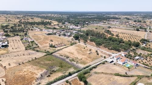 PF37376 - Terreno Misto 2.5 ha, Grandola - Imagem 15