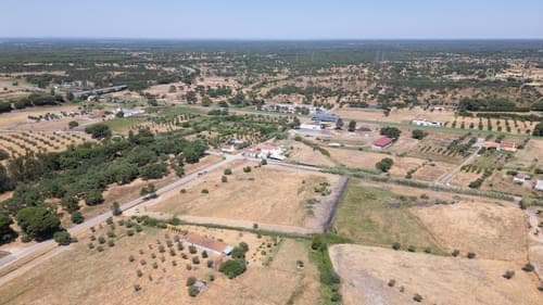PF37376 - Terreno Misto 2.5 ha, Grandola - Imagem 10