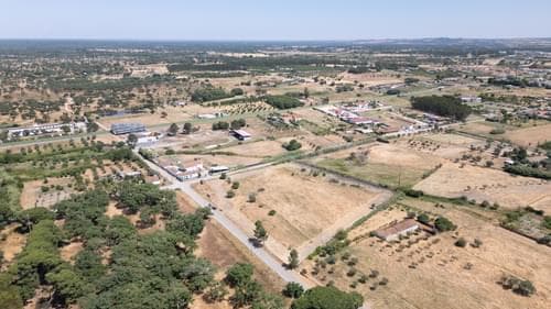 PF37376 - Terreno Misto 2.5 ha, Grandola - Imagem 2
