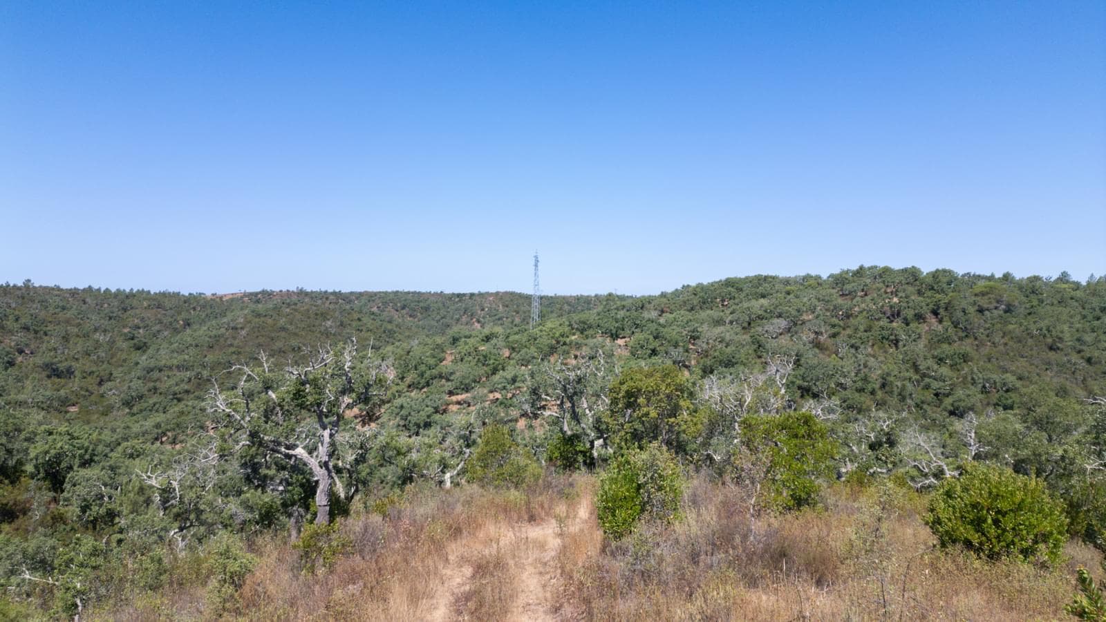 Terreno Misto 10.0 ha, São Francisco da Serra, Santiago do Cacem - Imagem 2
