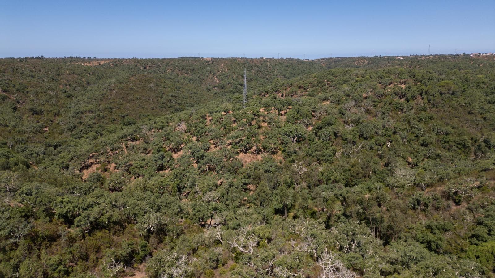 Terreno Misto 10.0 ha, São Francisco da Serra, Santiago do Cacem - Imagem 3