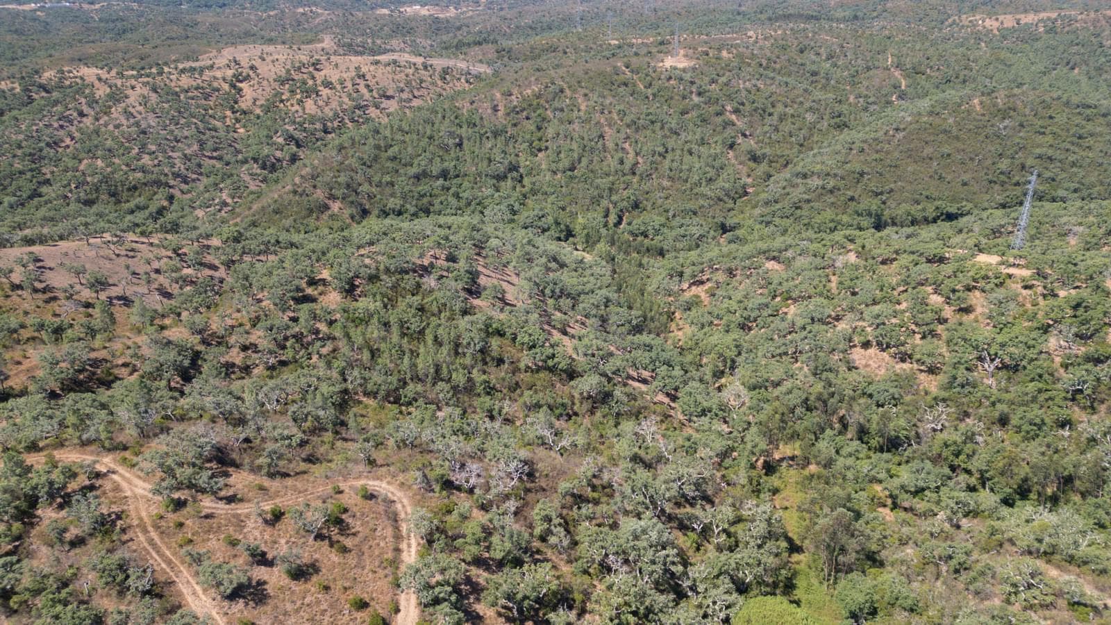 Terreno Misto 10.0 ha, São Francisco da Serra, Santiago do Cacem - Imagem 4