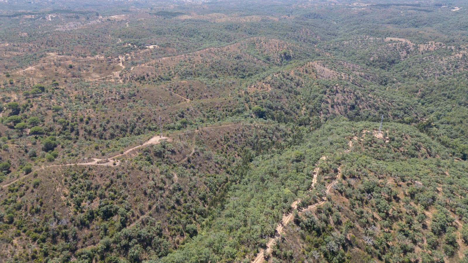 Terreno Misto 10.0 ha, São Francisco da Serra, Santiago do Cacem - Imagem 8