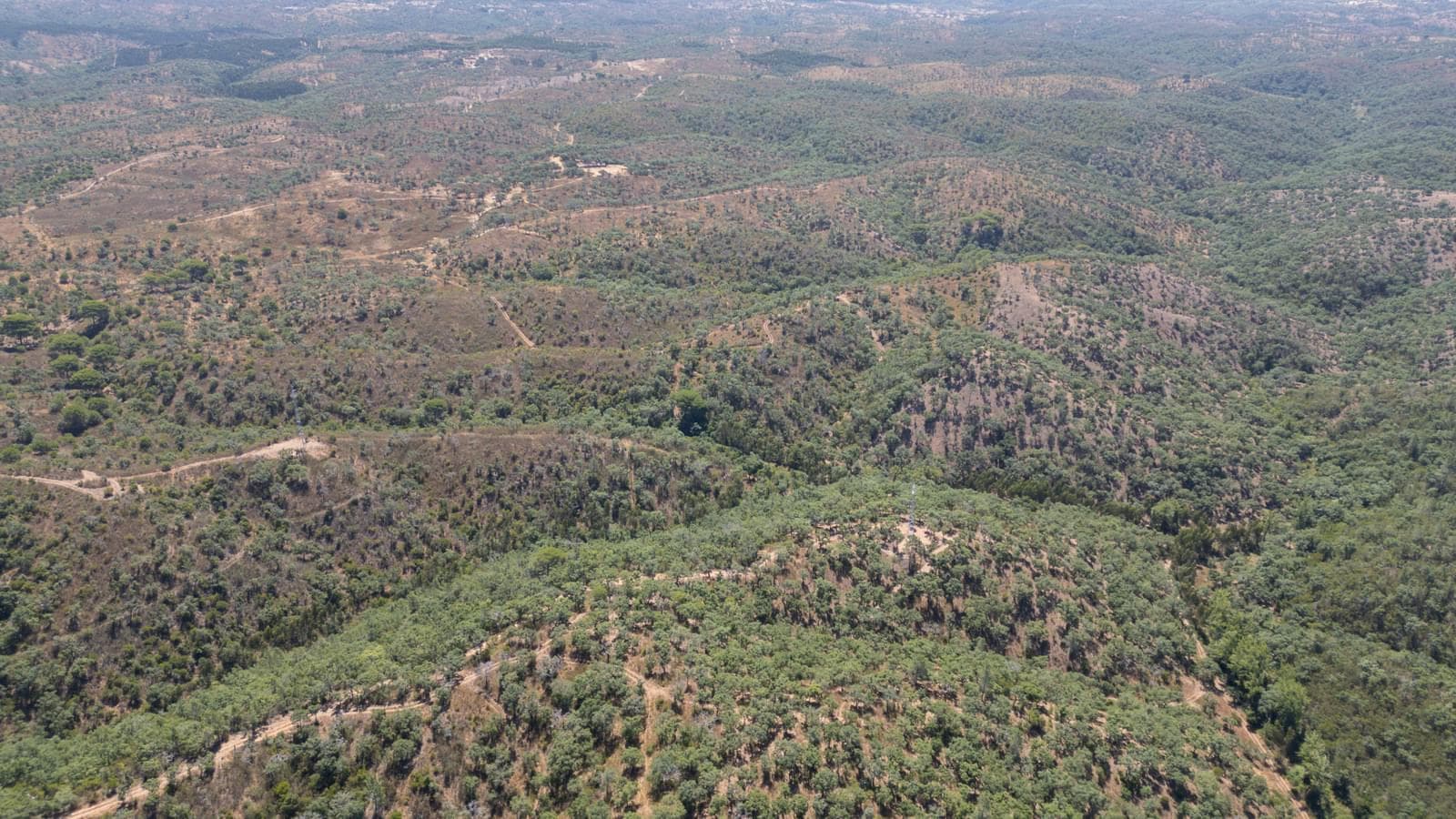 Terreno Misto 10.0 ha, São Francisco da Serra, Santiago do Cacem - Imagem 10