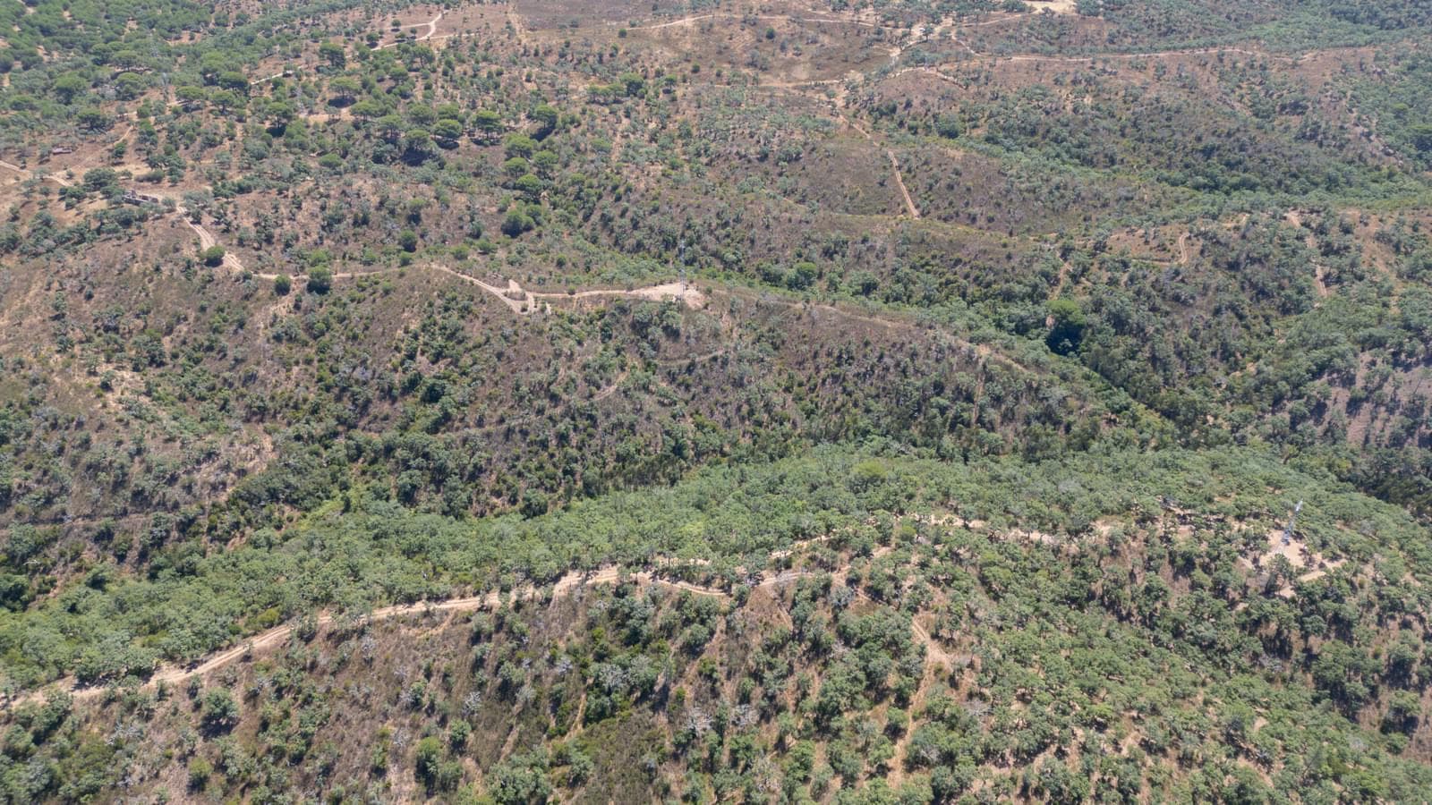 Terreno Misto 10.0 ha, São Francisco da Serra, Santiago do Cacem - Imagem 11
