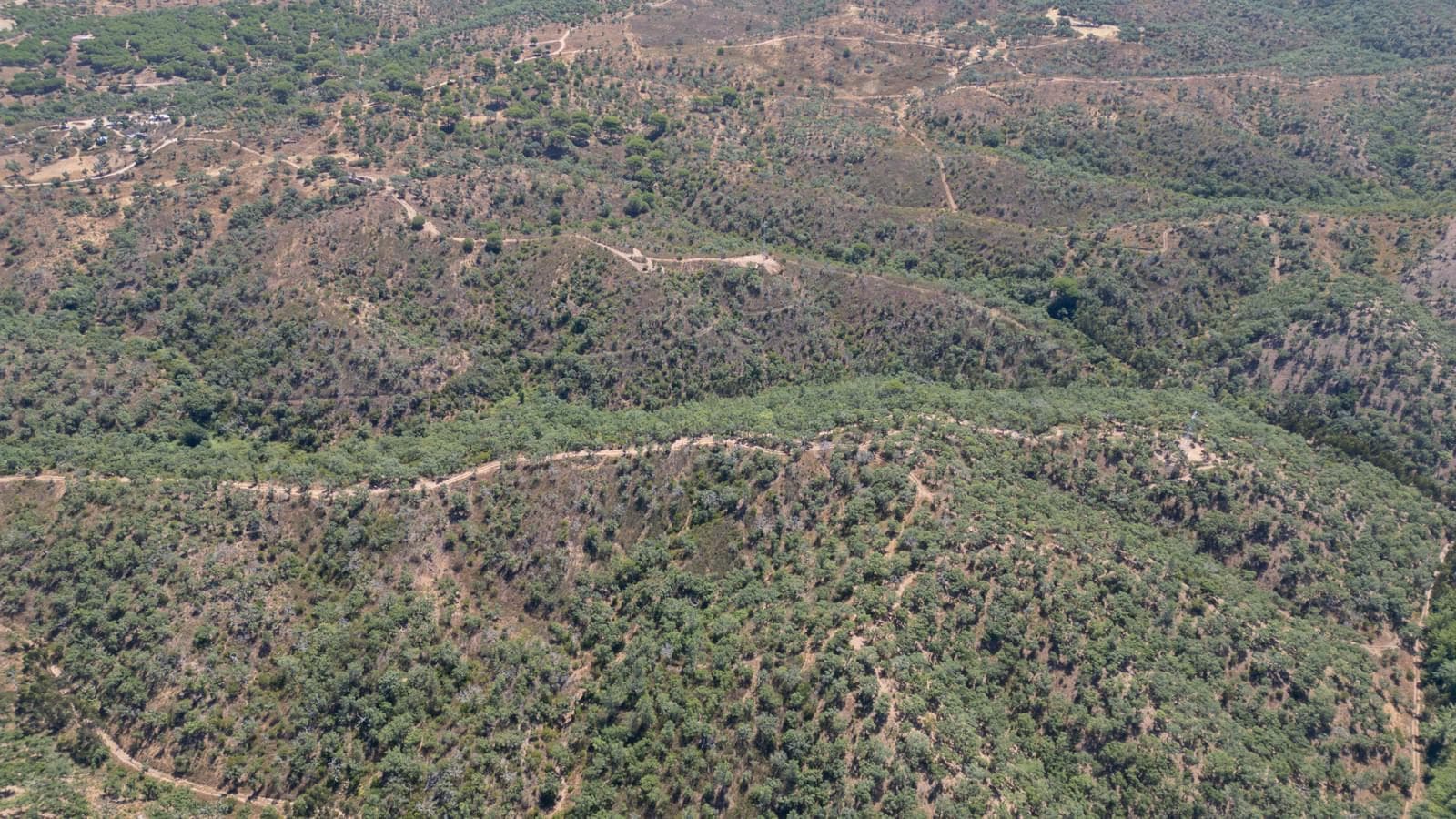 Terreno Misto 10.0 ha, São Francisco da Serra, Santiago do Cacem - Imagem 12