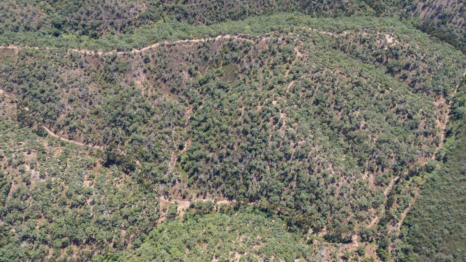 Terreno Misto 10.0 ha, São Francisco da Serra, Santiago do Cacem - Imagem 13