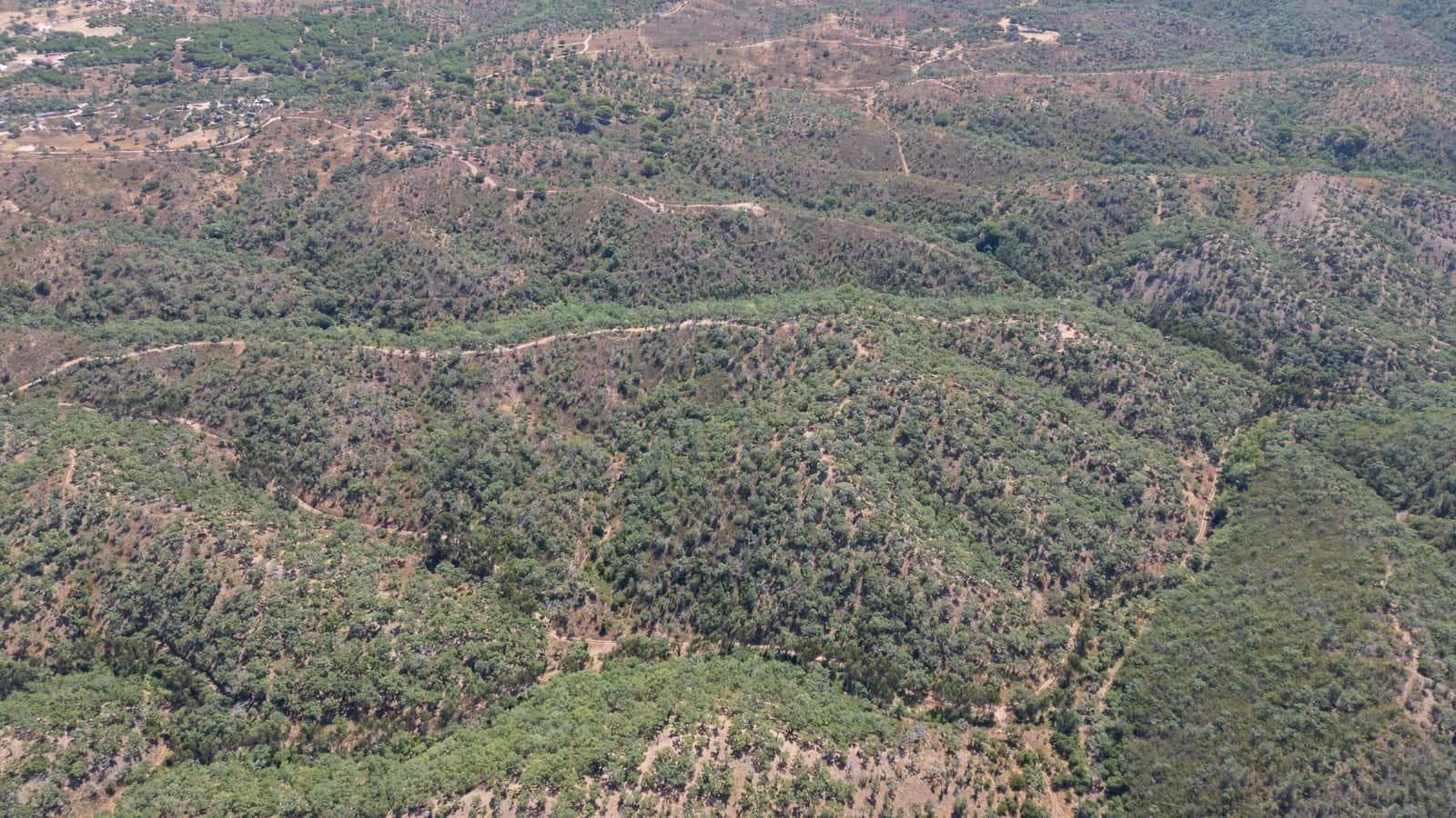 Terreno Misto 10.0 ha, São Francisco da Serra, Santiago do Cacem - Imagem 15