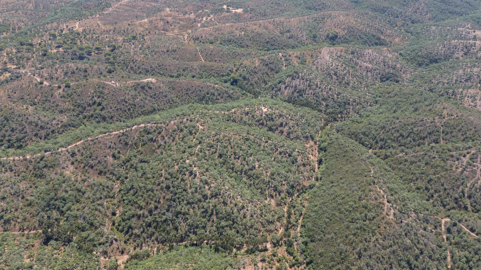 Terreno Misto 10.0 ha, São Francisco da Serra, Santiago do Cacem - Imagem 16