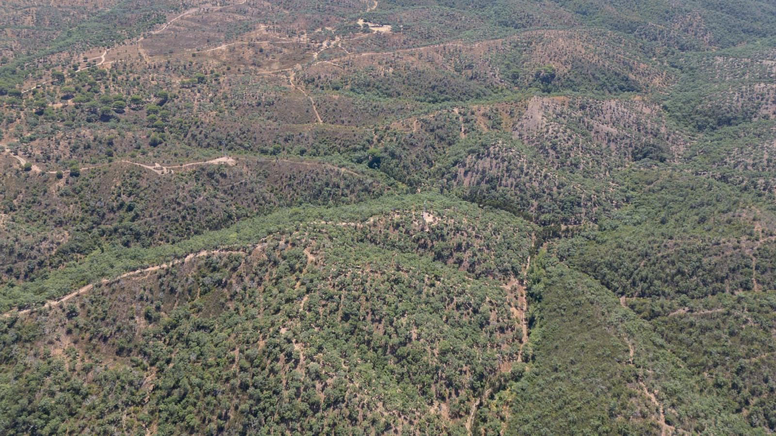 Terreno Misto 10.0 ha, São Francisco da Serra, Santiago do Cacem - Imagem 17