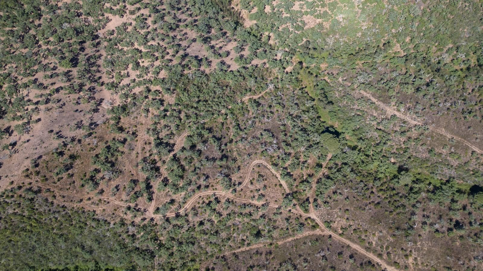 Terreno Misto 10.0 ha, São Francisco da Serra, Santiago do Cacem - Imagem 18