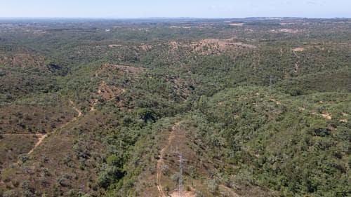 PF37377 - Terreno Misto 10.0 ha, São Francisco da Serra, Santiago do Cacem - Imagem 5