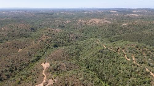 PF37377 - Terreno Misto 10.0 ha, São Francisco da Serra, Santiago do Cacem - Imagem 6