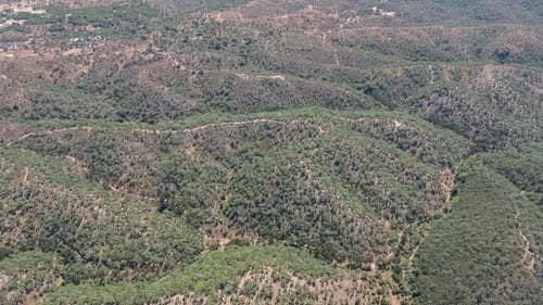 PF37377 - Terreno Misto 10.0 ha, São Francisco da Serra, Santiago do Cacem - Imagem 15