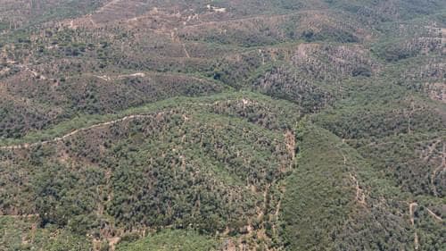 PF37377 - Terreno Misto 10.0 ha, São Francisco da Serra, Santiago do Cacem - Imagem 16