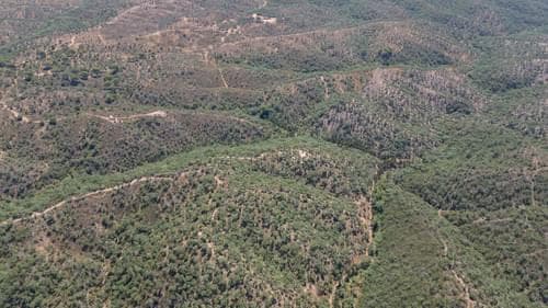 PF37377 - Terreno Misto 10.0 ha, São Francisco da Serra, Santiago do Cacem - Imagem 17