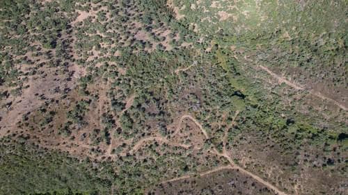 PF37377 - Terreno Misto 10.0 ha, São Francisco da Serra, Santiago do Cacem - Imagem 18
