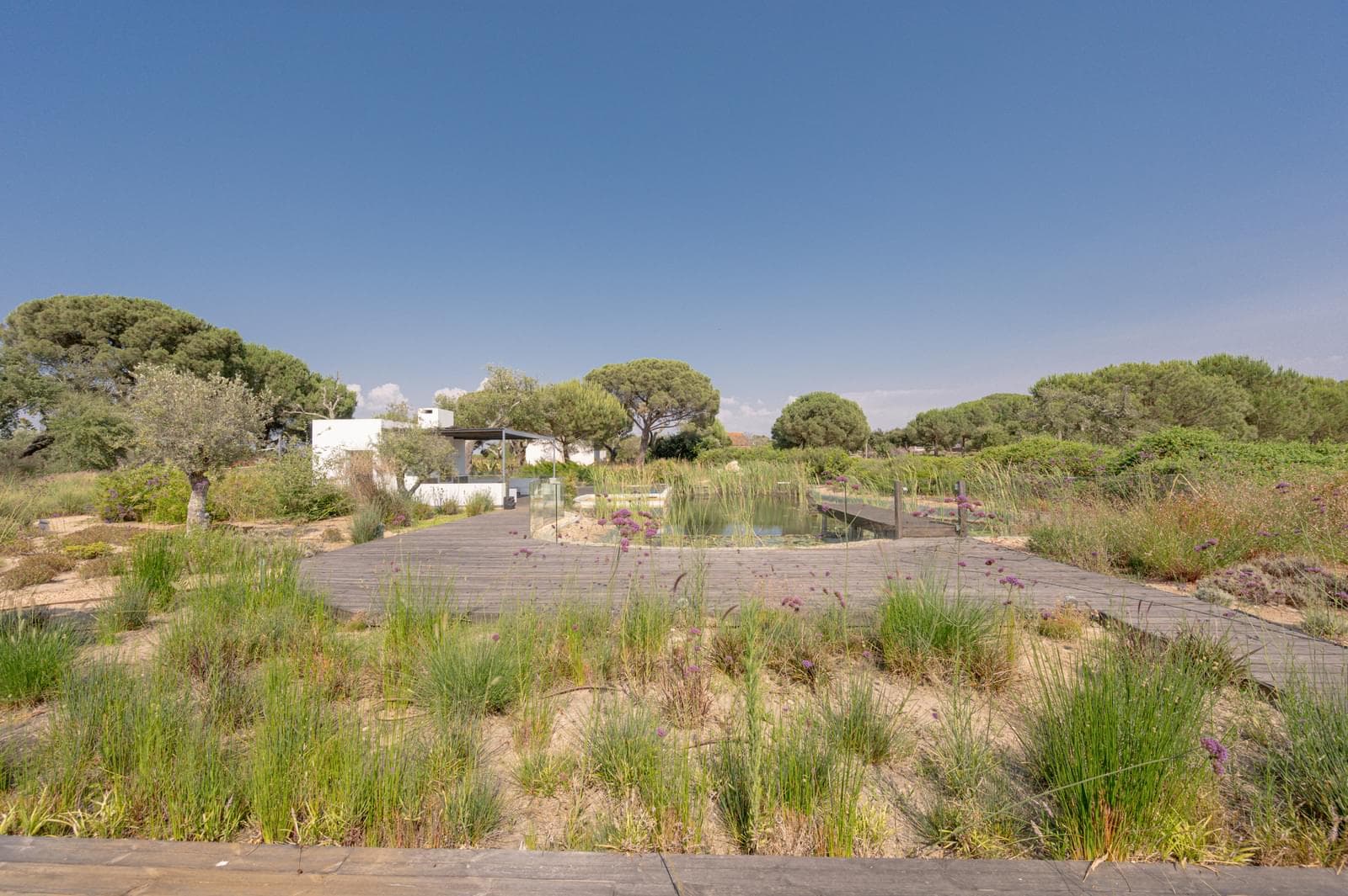 Moradia Isolada T5 com jardim, Sobreiras Altas, Grandola - Imagem 41